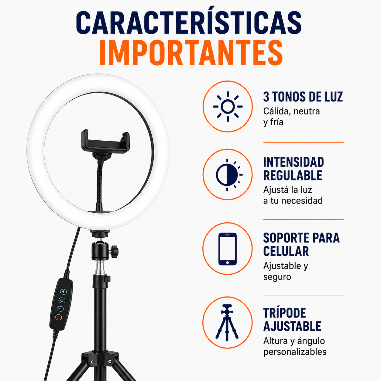 🏠 Aro De Luz Led Bodeltec 30cm Con